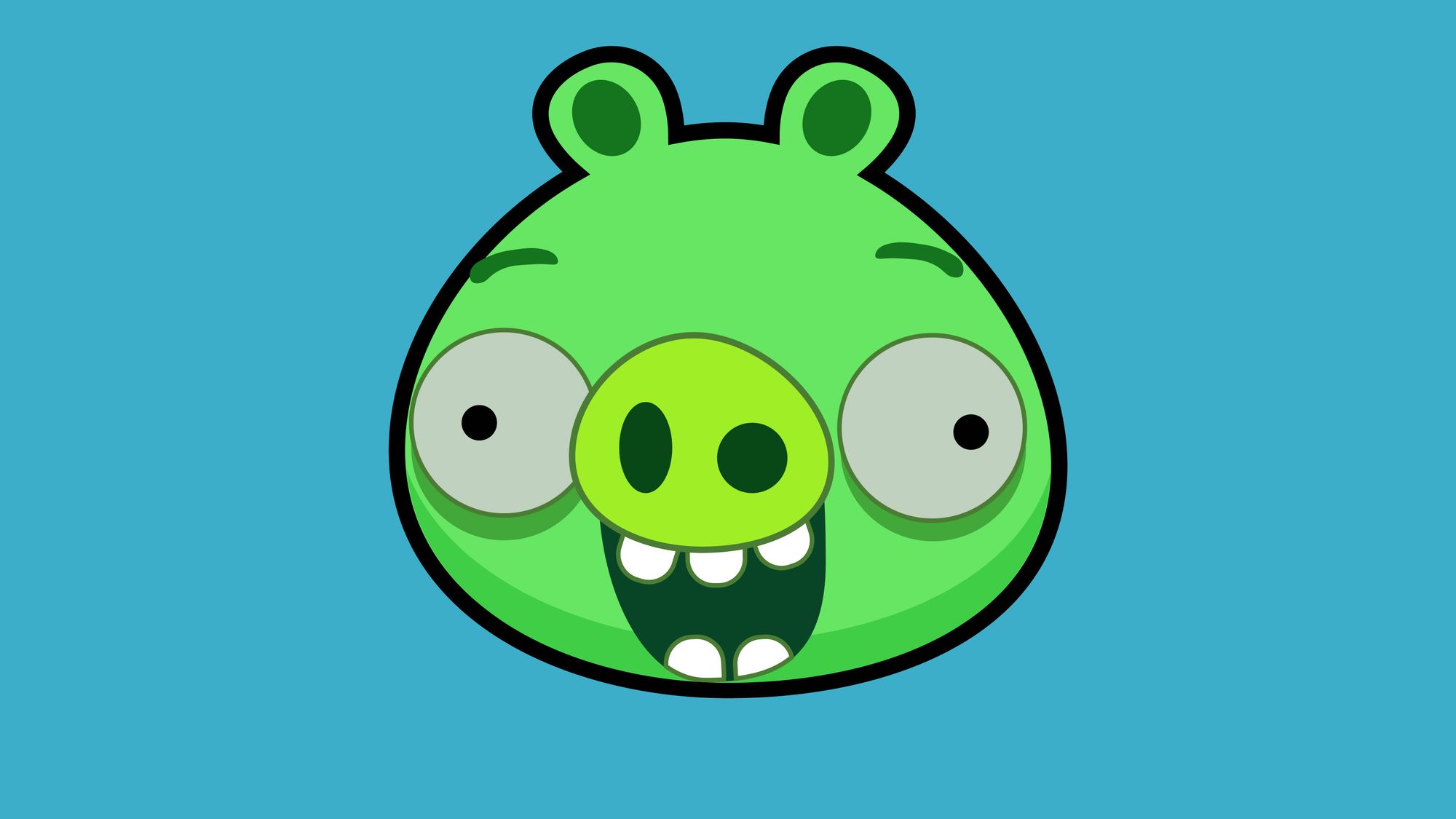 bug